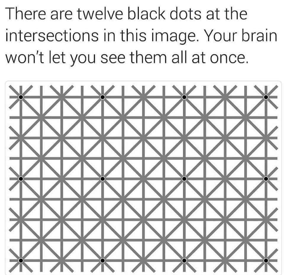 Whoa, Just Whoa!