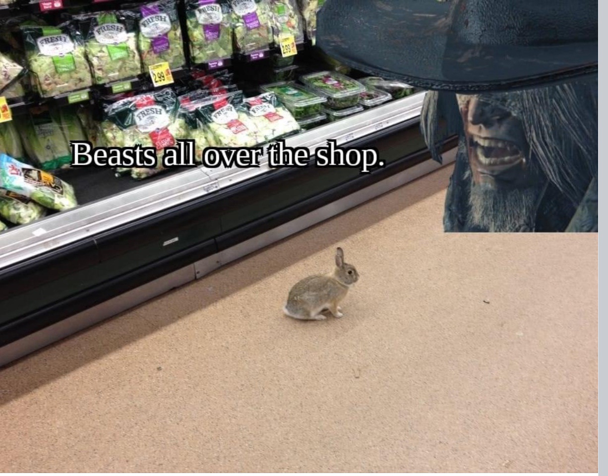 Friday Fun: A Meme Dump for My Friends