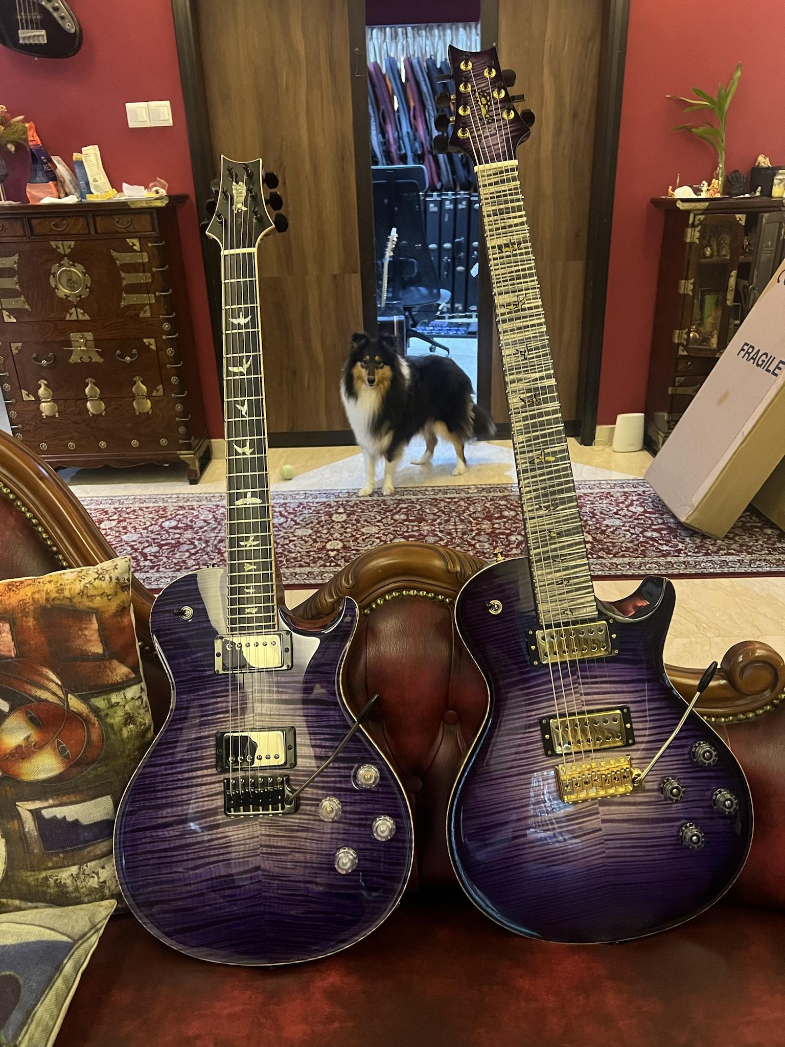 Purple PRs and Singlecut Trems: A Guitarist's Dream