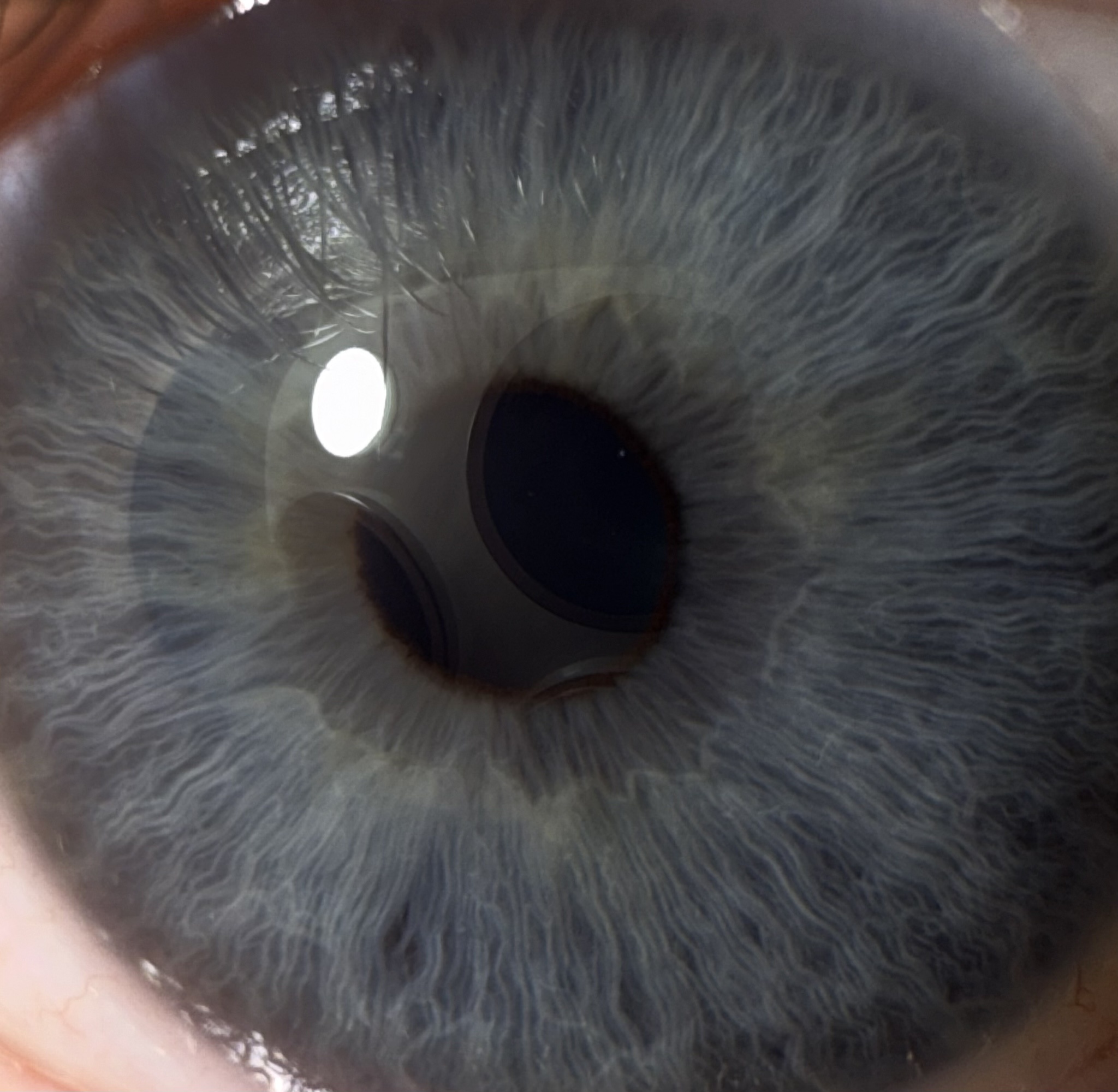 Eyeing the new 16 Pro, but that camera reflection is a bummer!