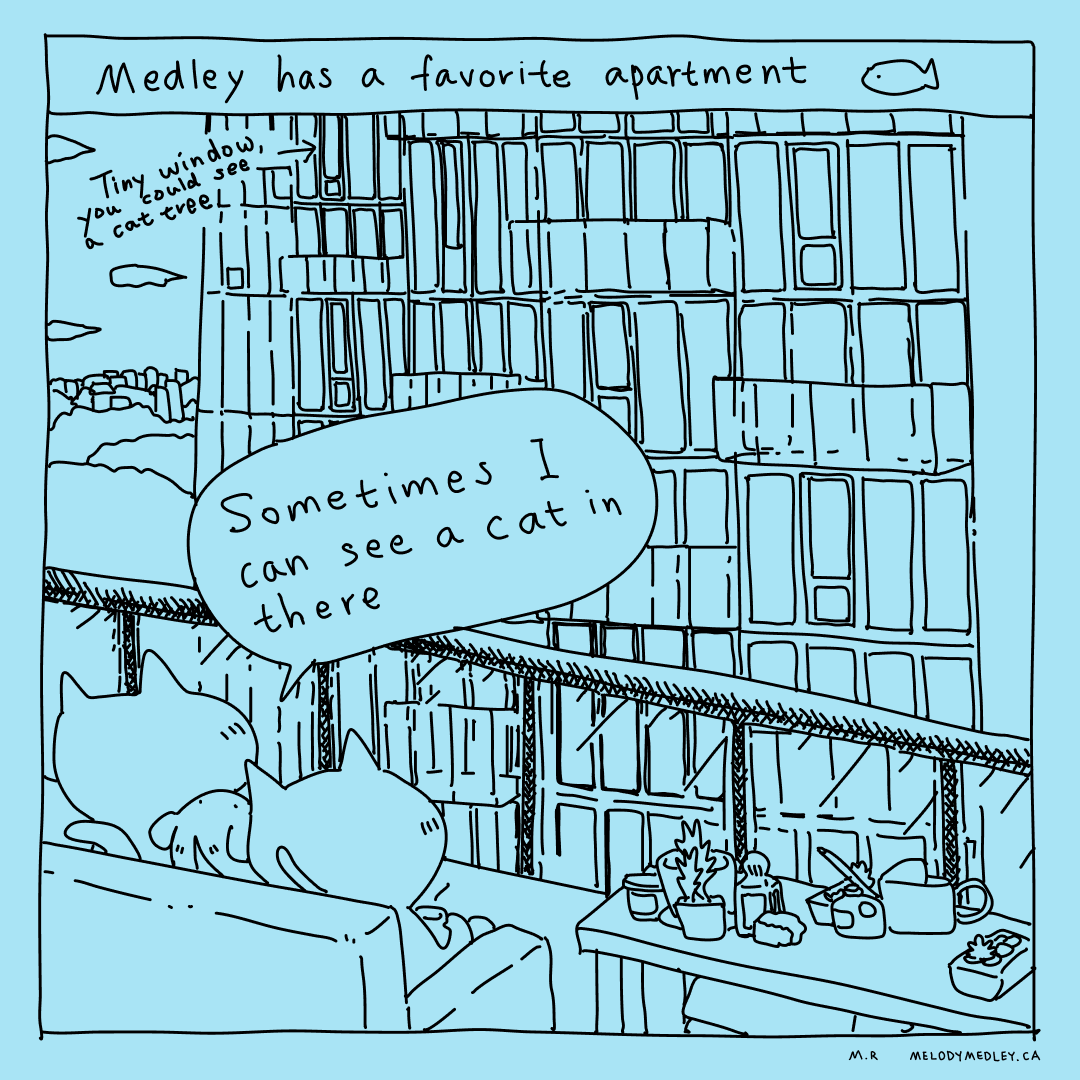 Inside Medley's Favorite Apartment: A Cozy Retreat