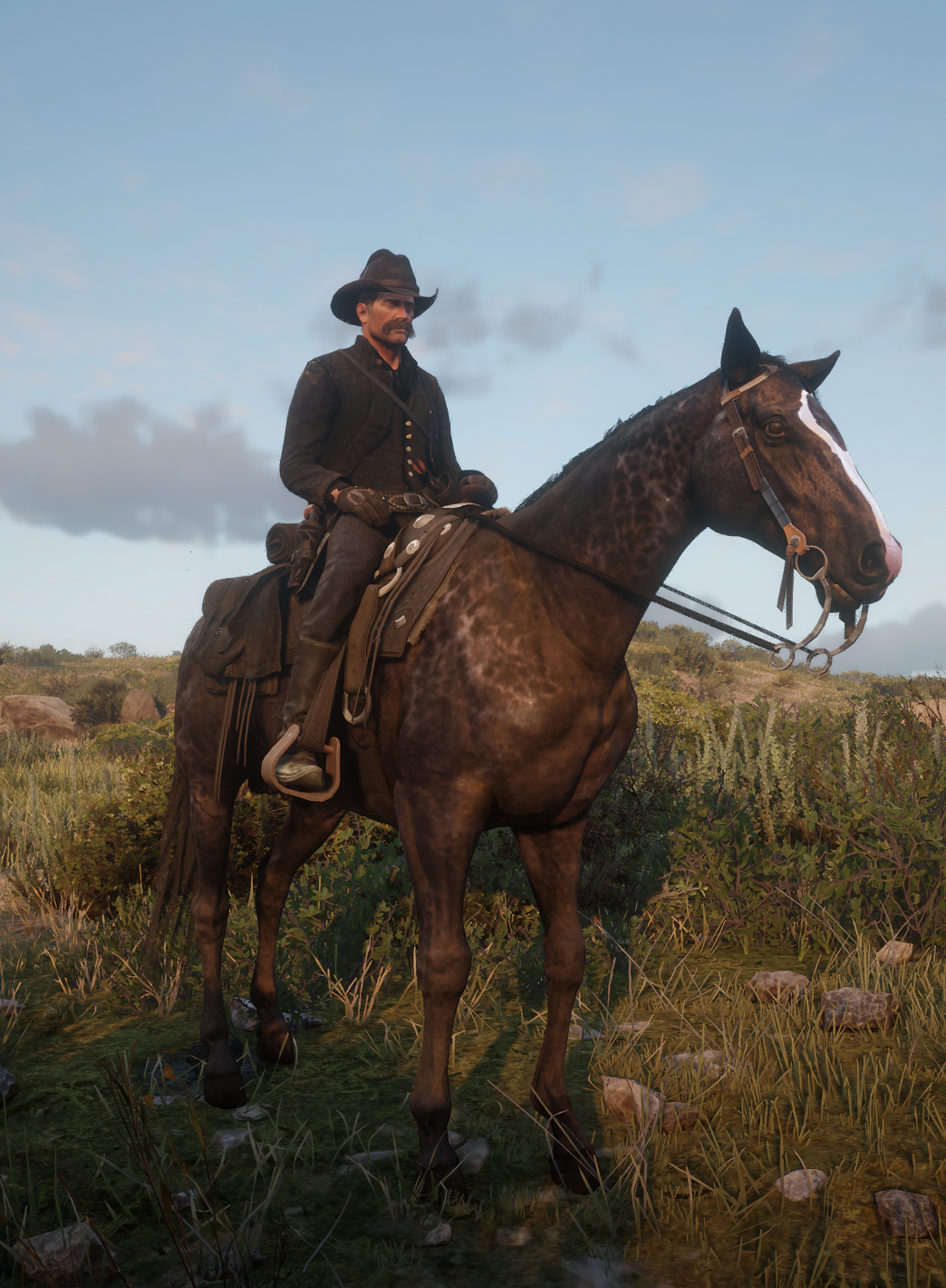 Meet the reverse dapple black thoroughbred and a tiny pony