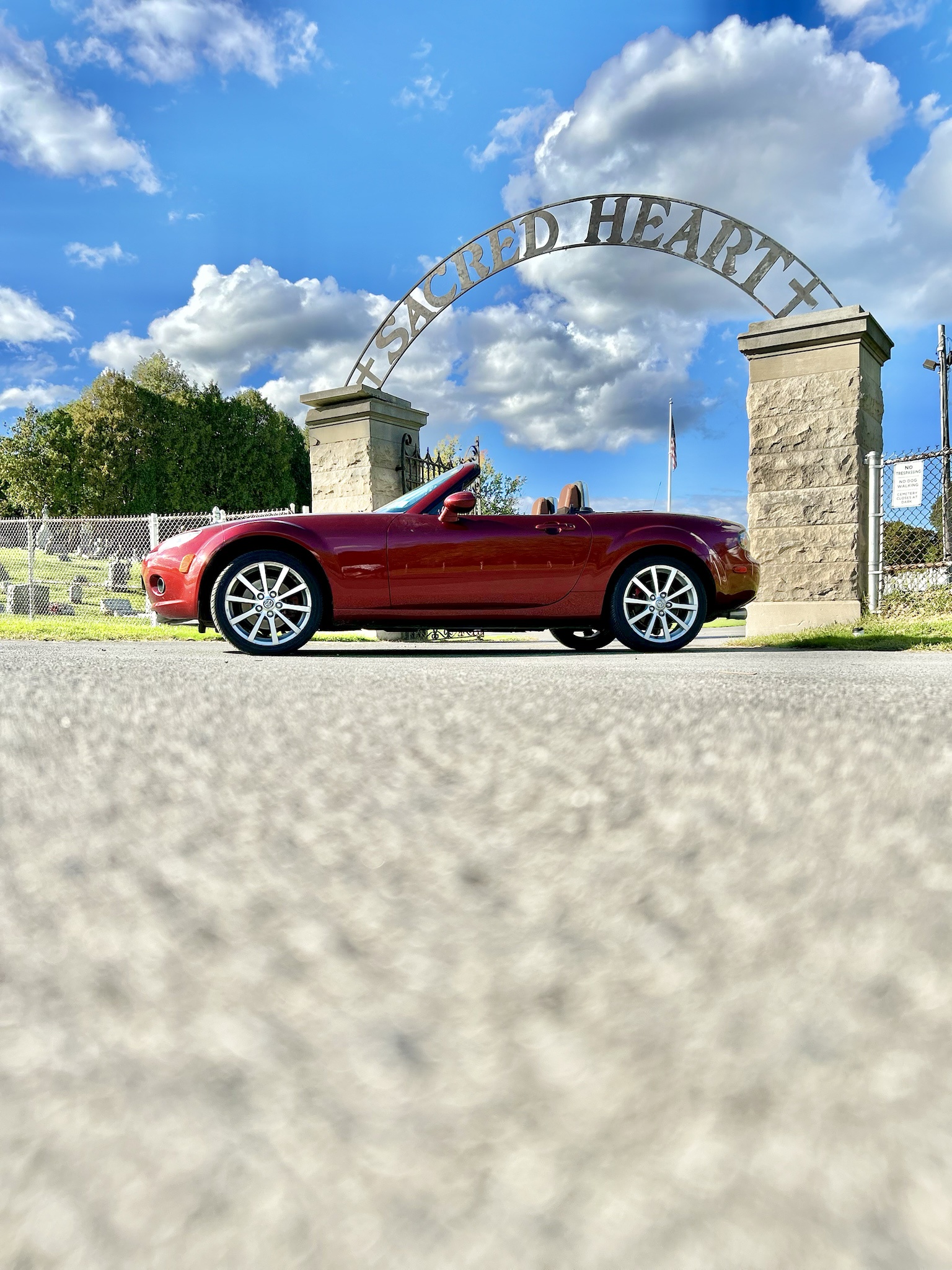 Feel the Vibes: The Joy of Zooming Around