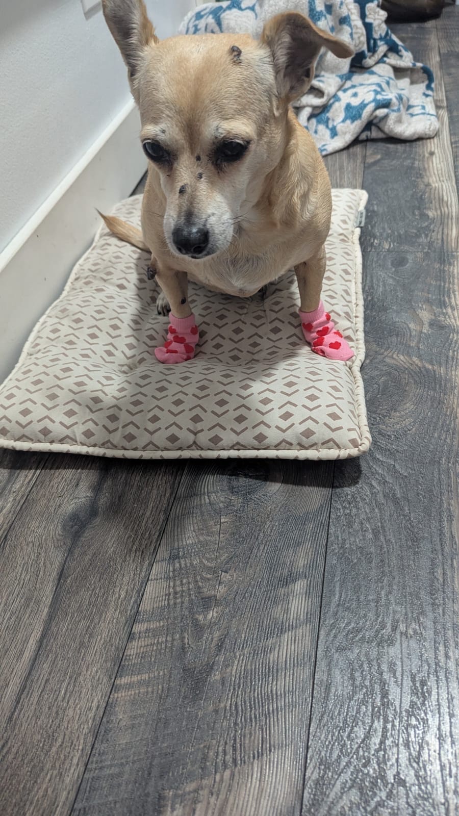 Adorable girl rocking cute socks