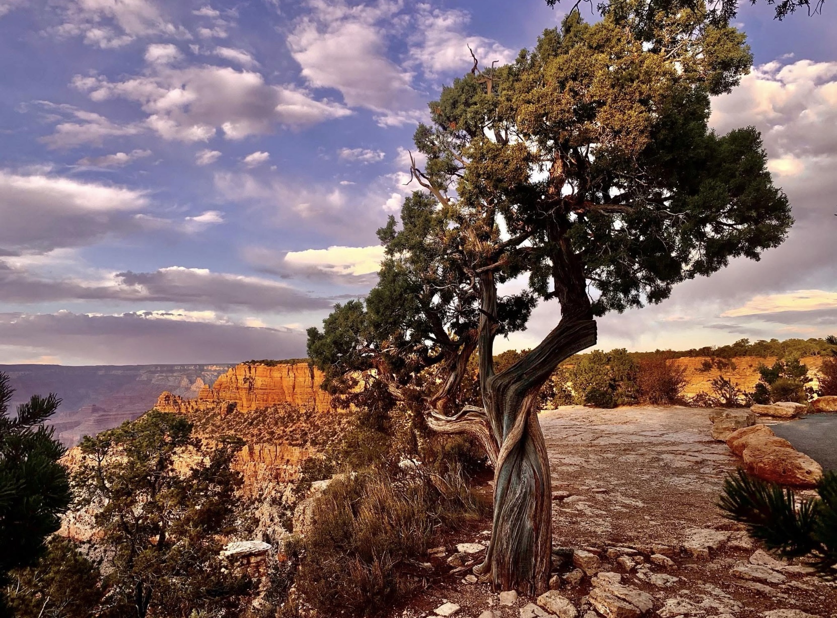 Exploring the Wonders of the Grand Canyon