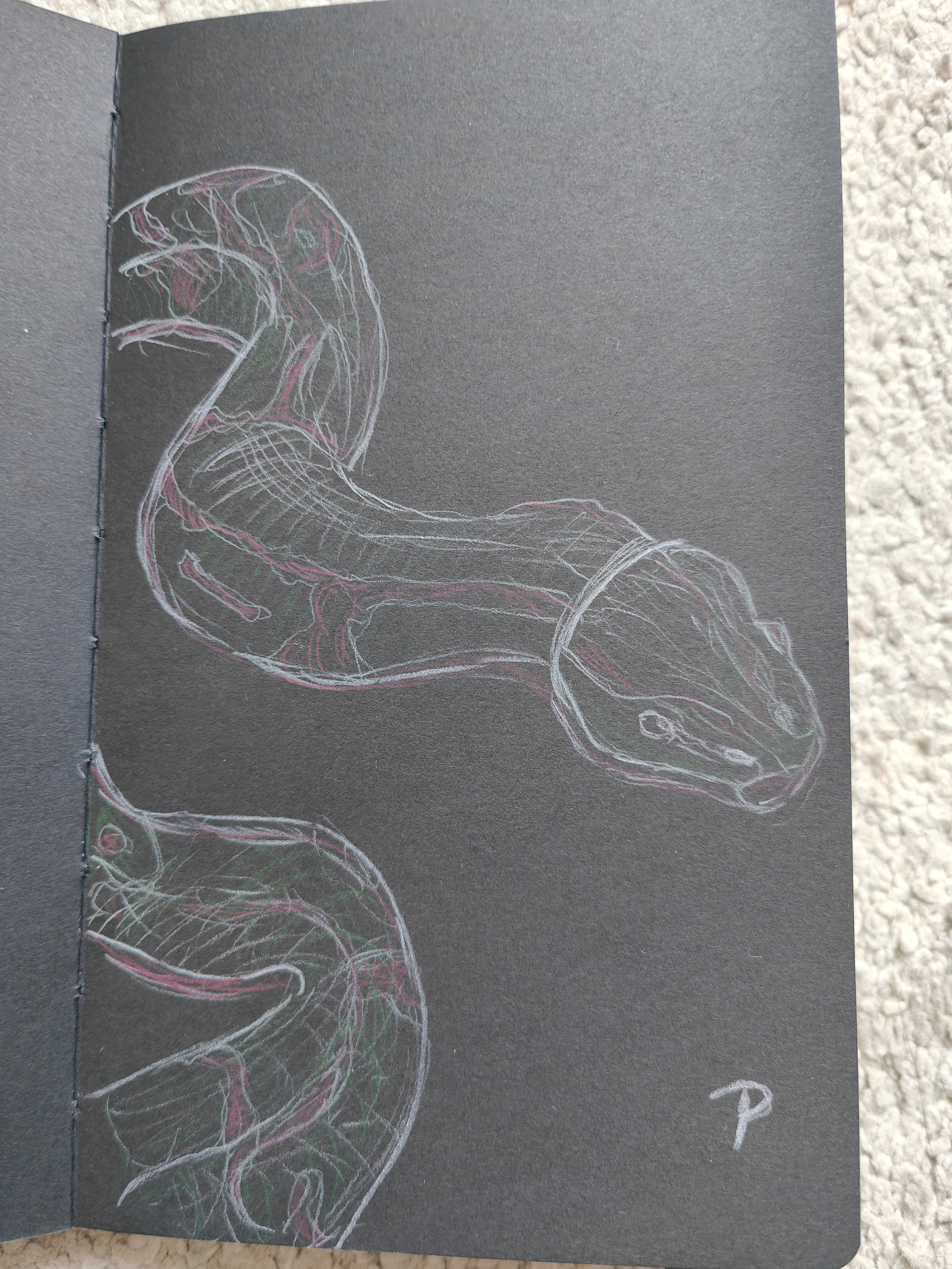 The Slithering Mystery of the Snake