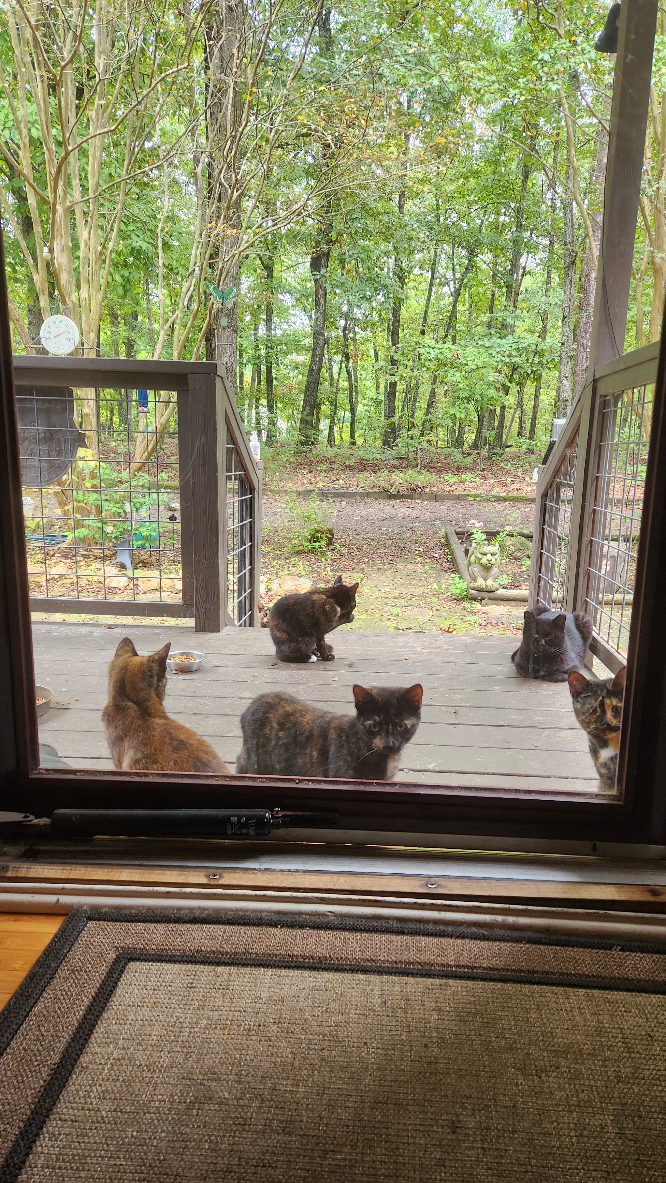 When Your Squad Arrives Ready to Party All Night Long