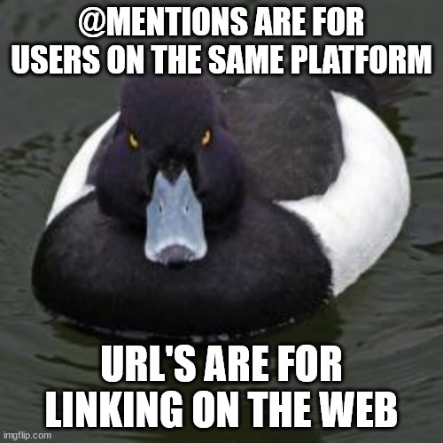My Thoughts on This Platform and Beyond