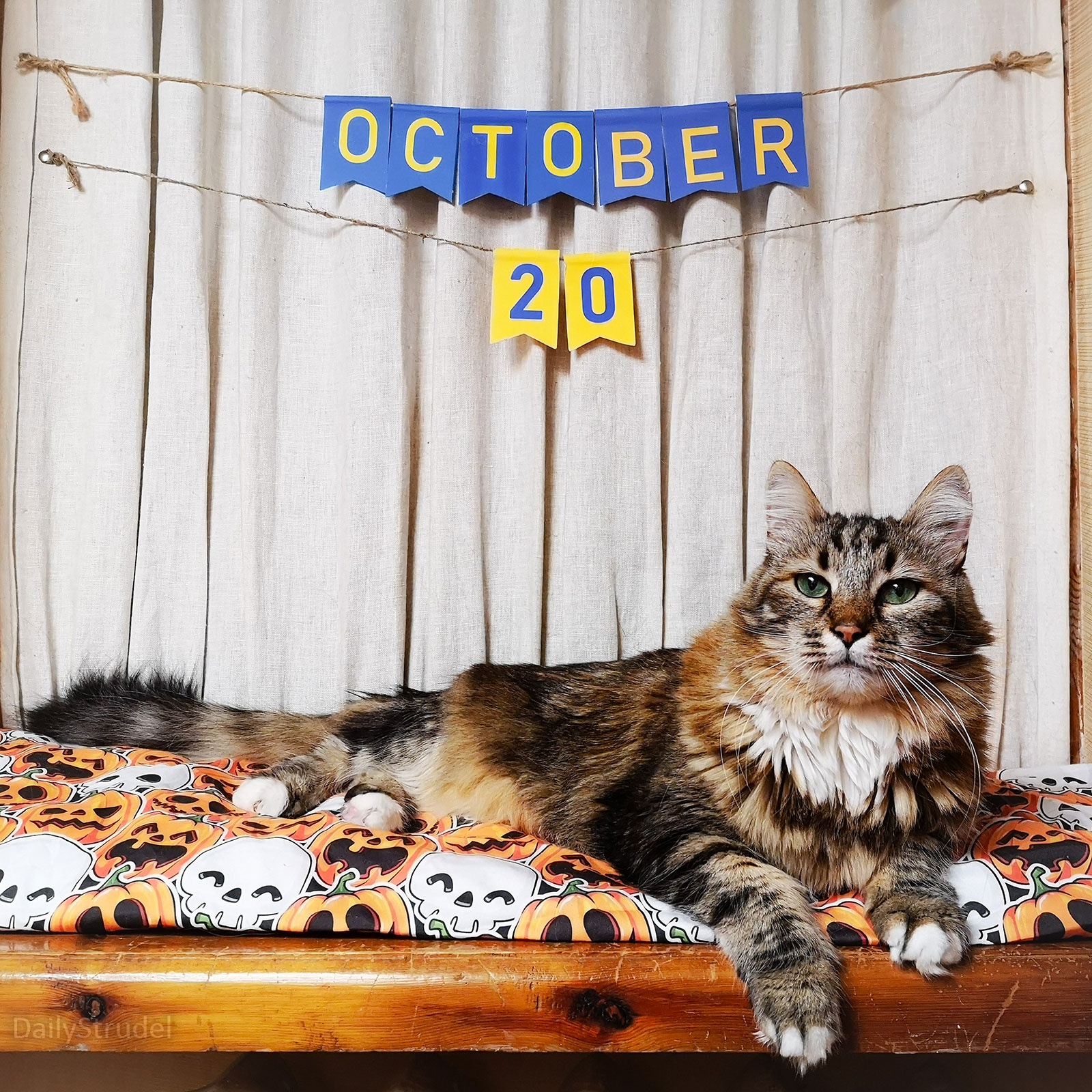 Mark your calendars for October 20!