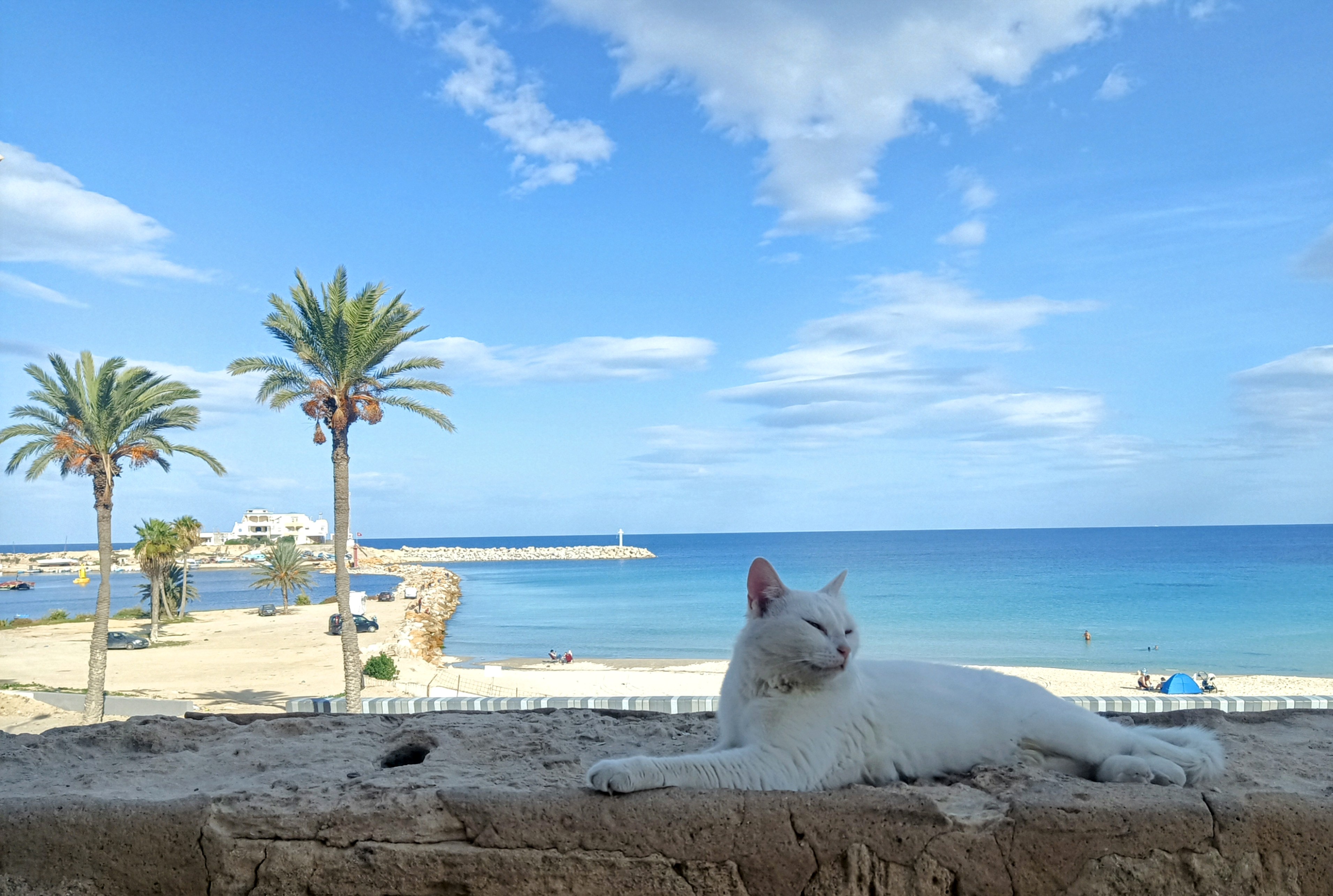 Planning an adventure to Tunisia in 2024!
