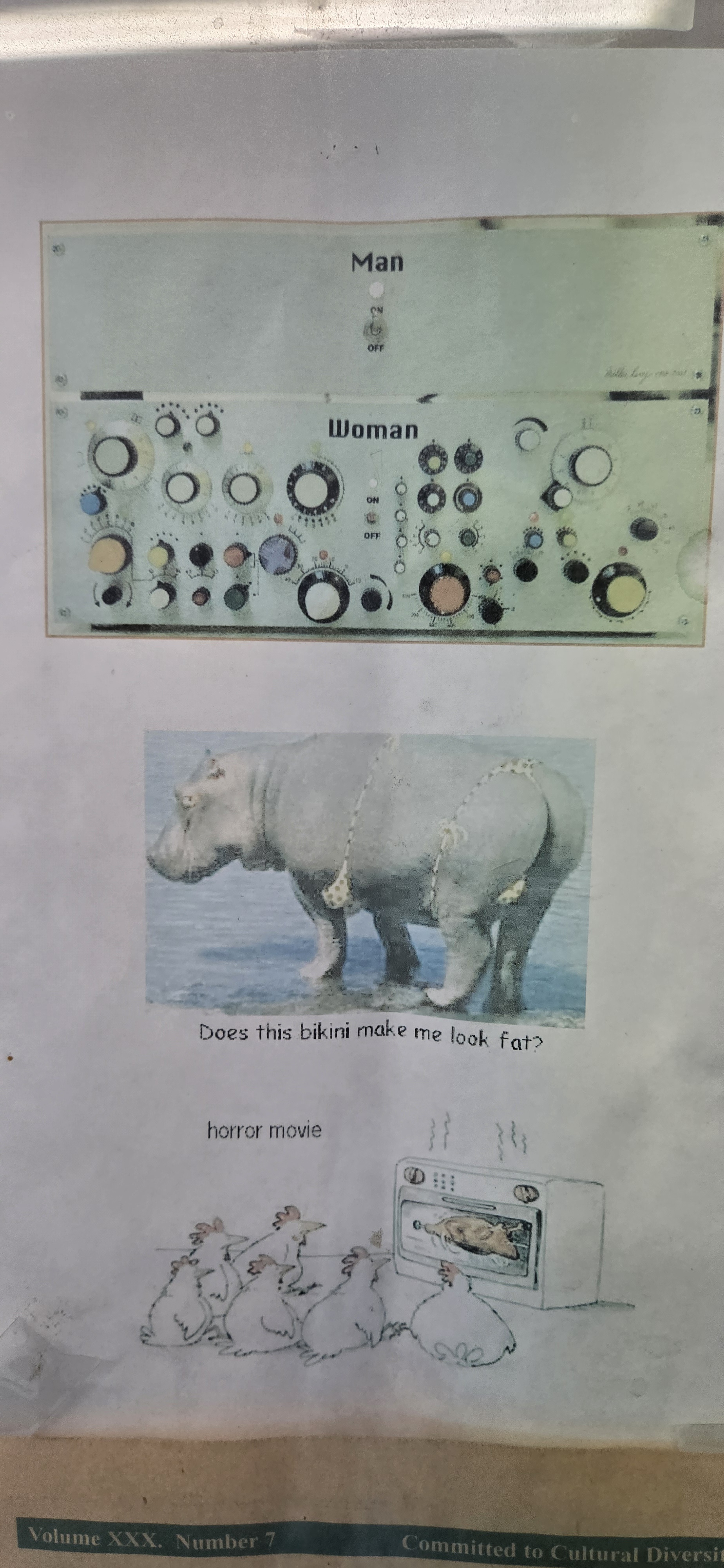 Vintage Print Memes for Cake Day at the Laundromat