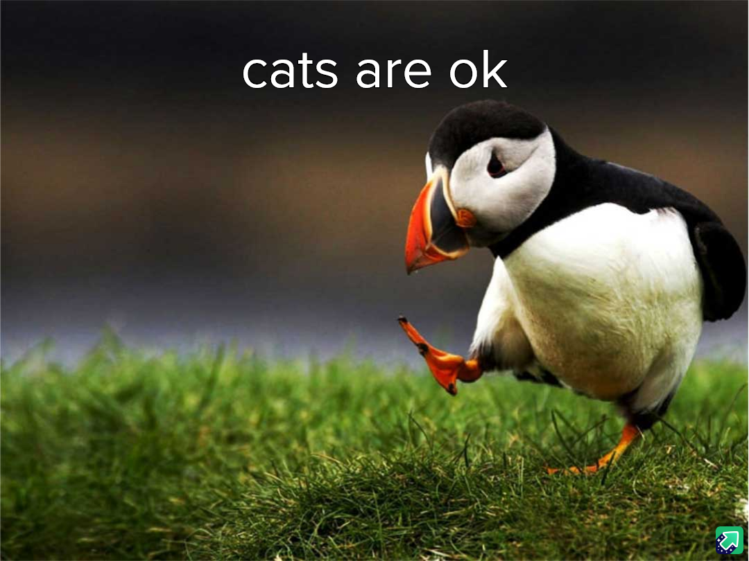 Not Amazing, Not Awful: Just Okay and That's Fine