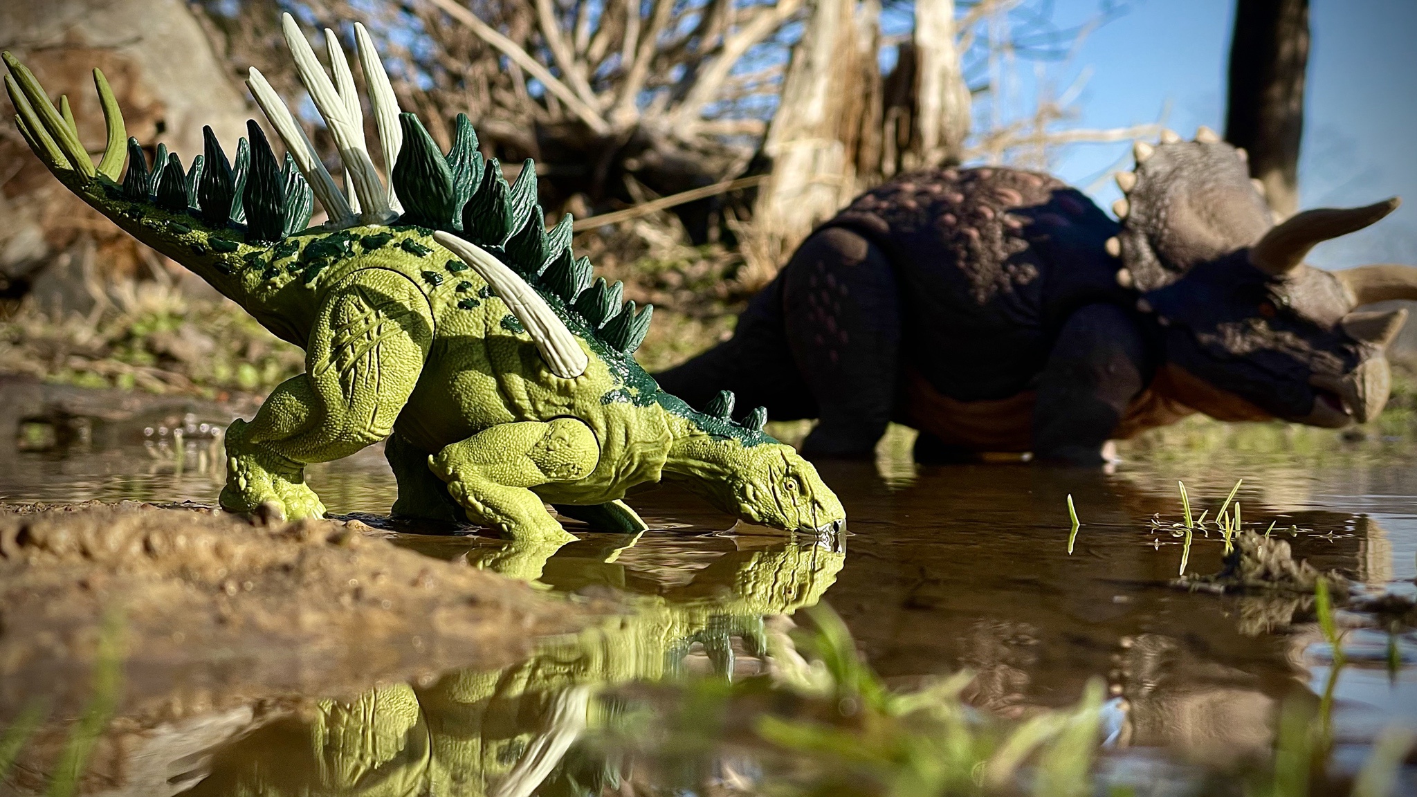 Taking a Knee for a Refreshing Drink