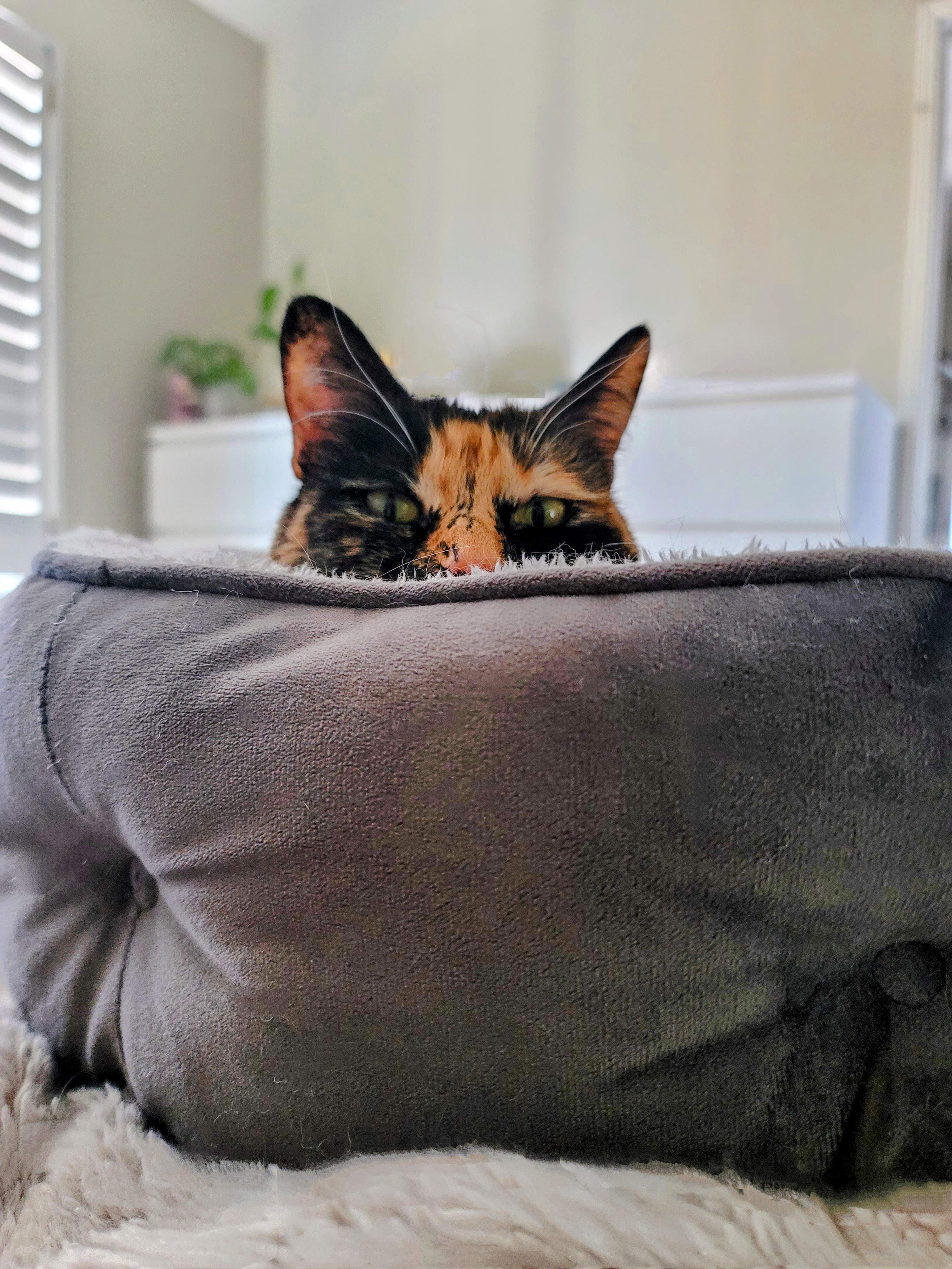 The face I woke up to this morning: pure shock