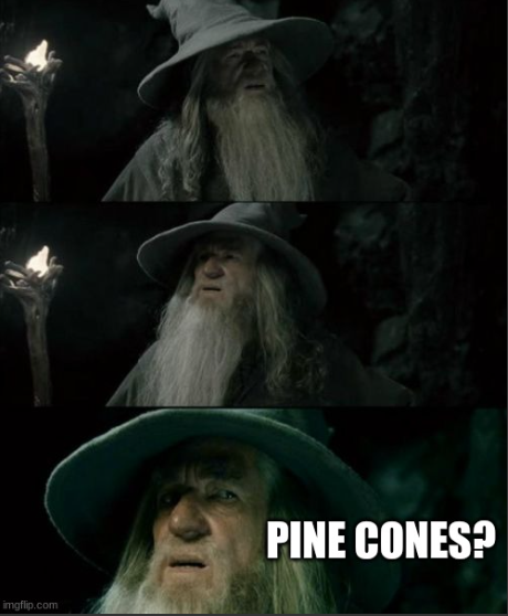 For Those Who Haven't Checked In Recently...