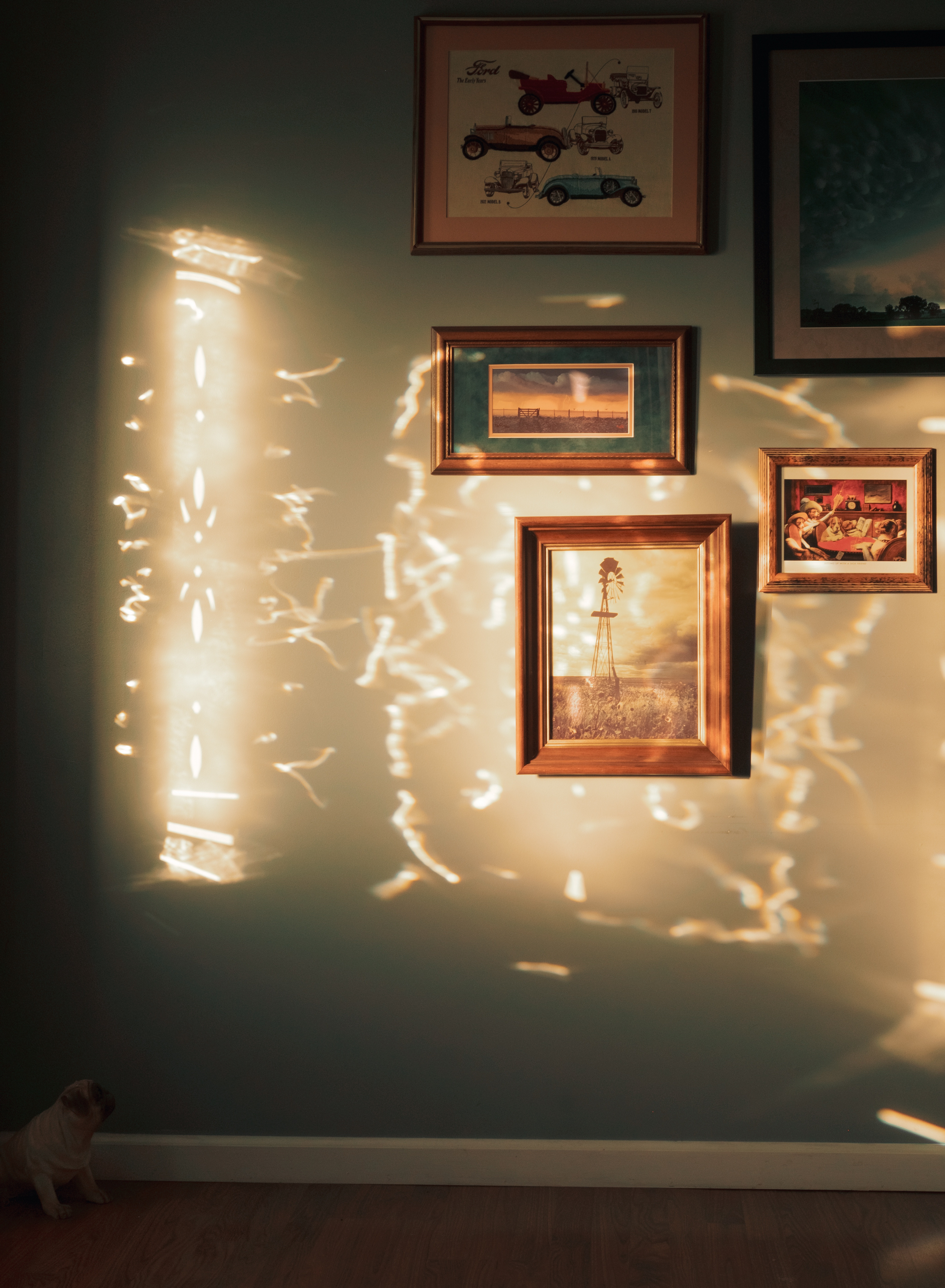 Refractions: The Art of Light and Color