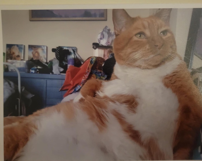 Meet Hodor: He Needs Your Support!