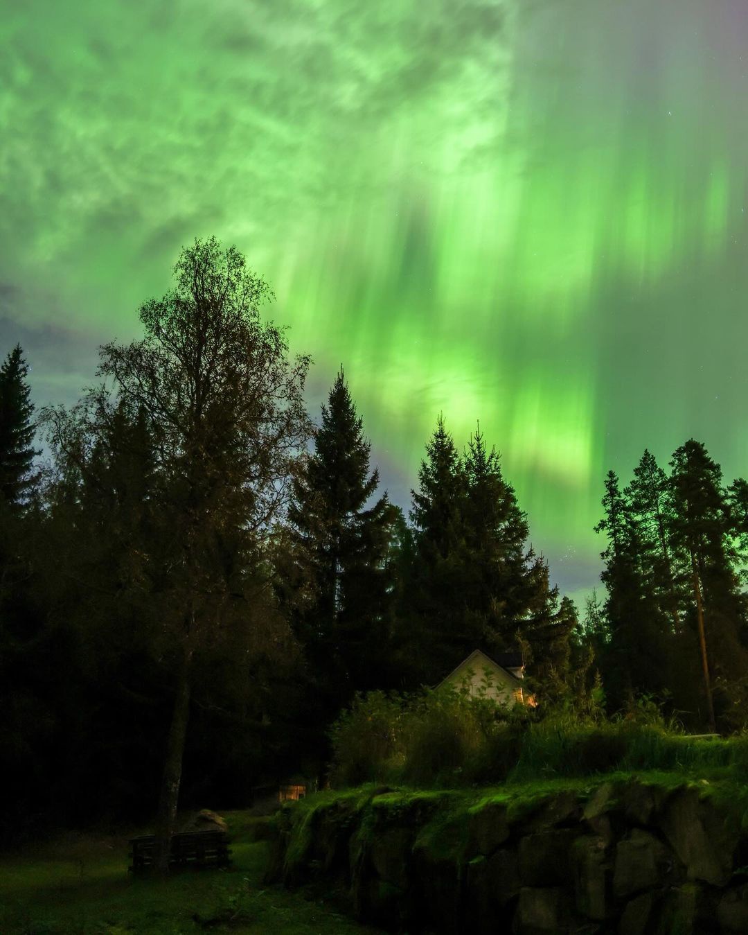 Aurora's Serenade: A Beautiful Symphony in Green