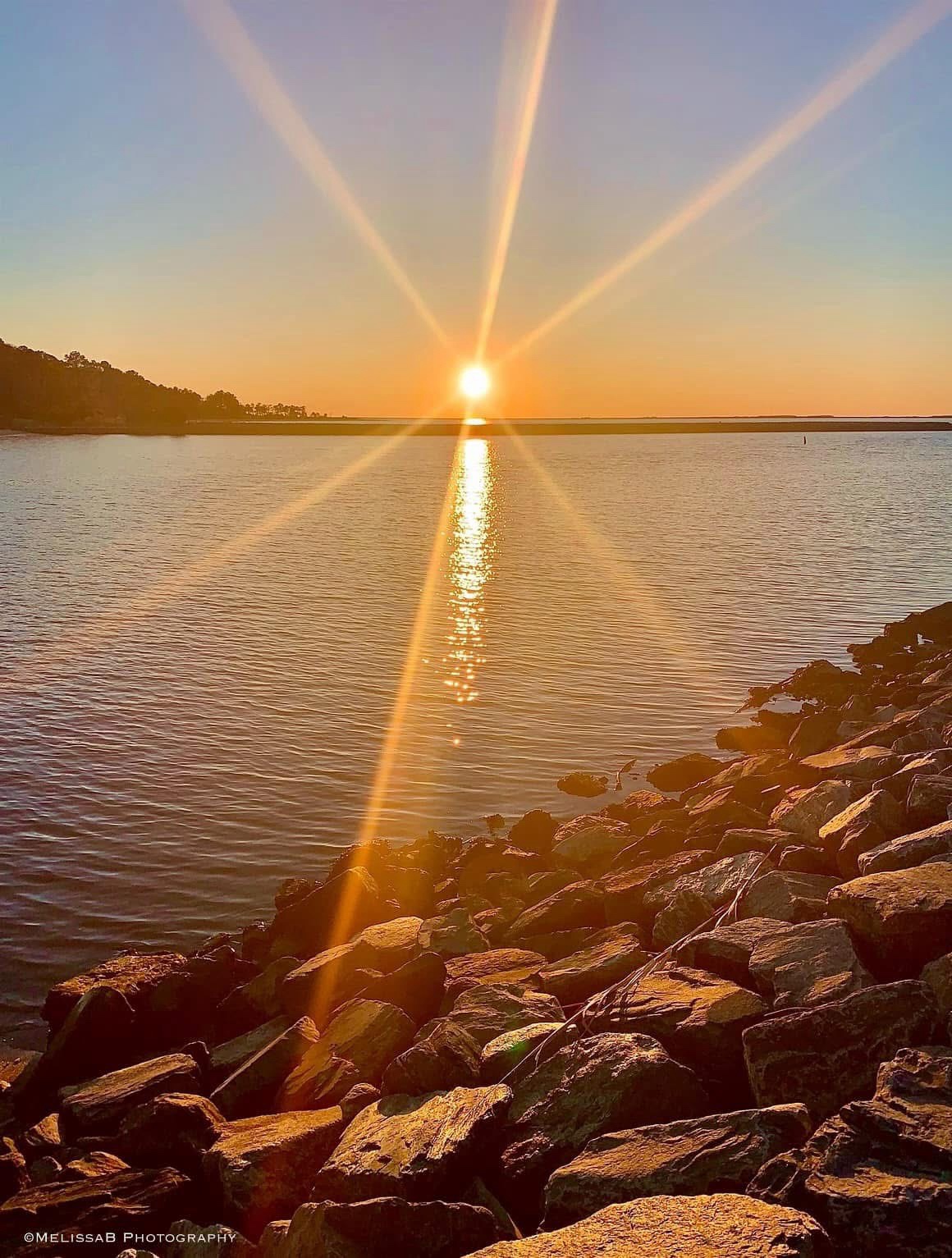 Radiant Sunbeams Lighting Up the Day