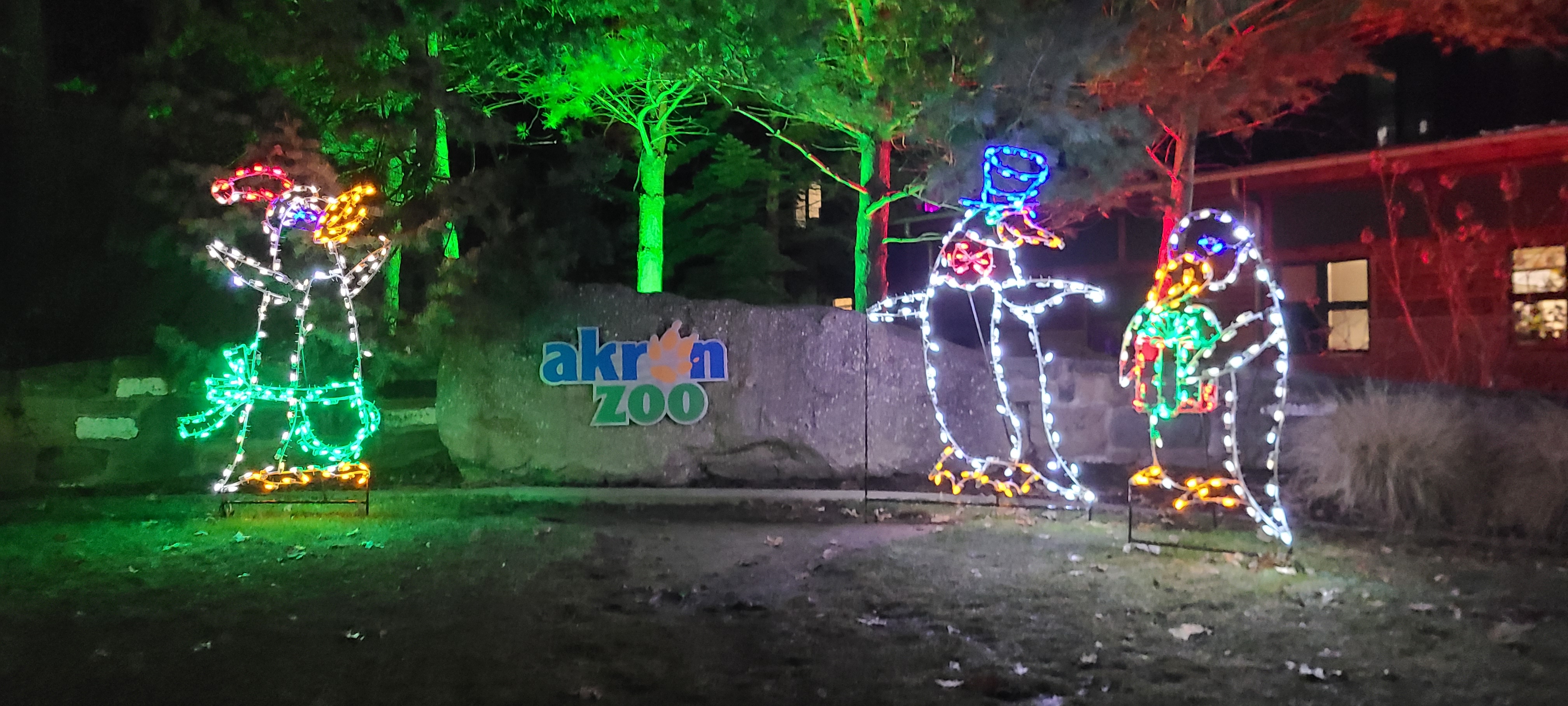 Magical Christmas Lights Display at the Akron Zoo