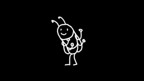 The Joyful Dance of the Bee