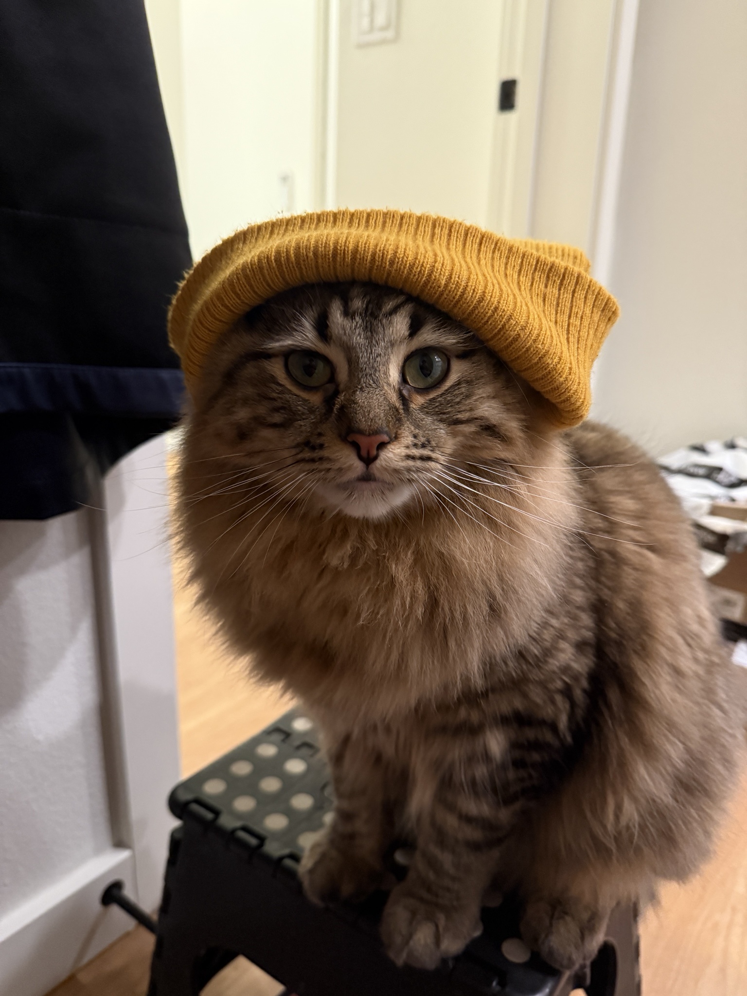 Not Saying He'll Steal Your Girl, But... Just Saying