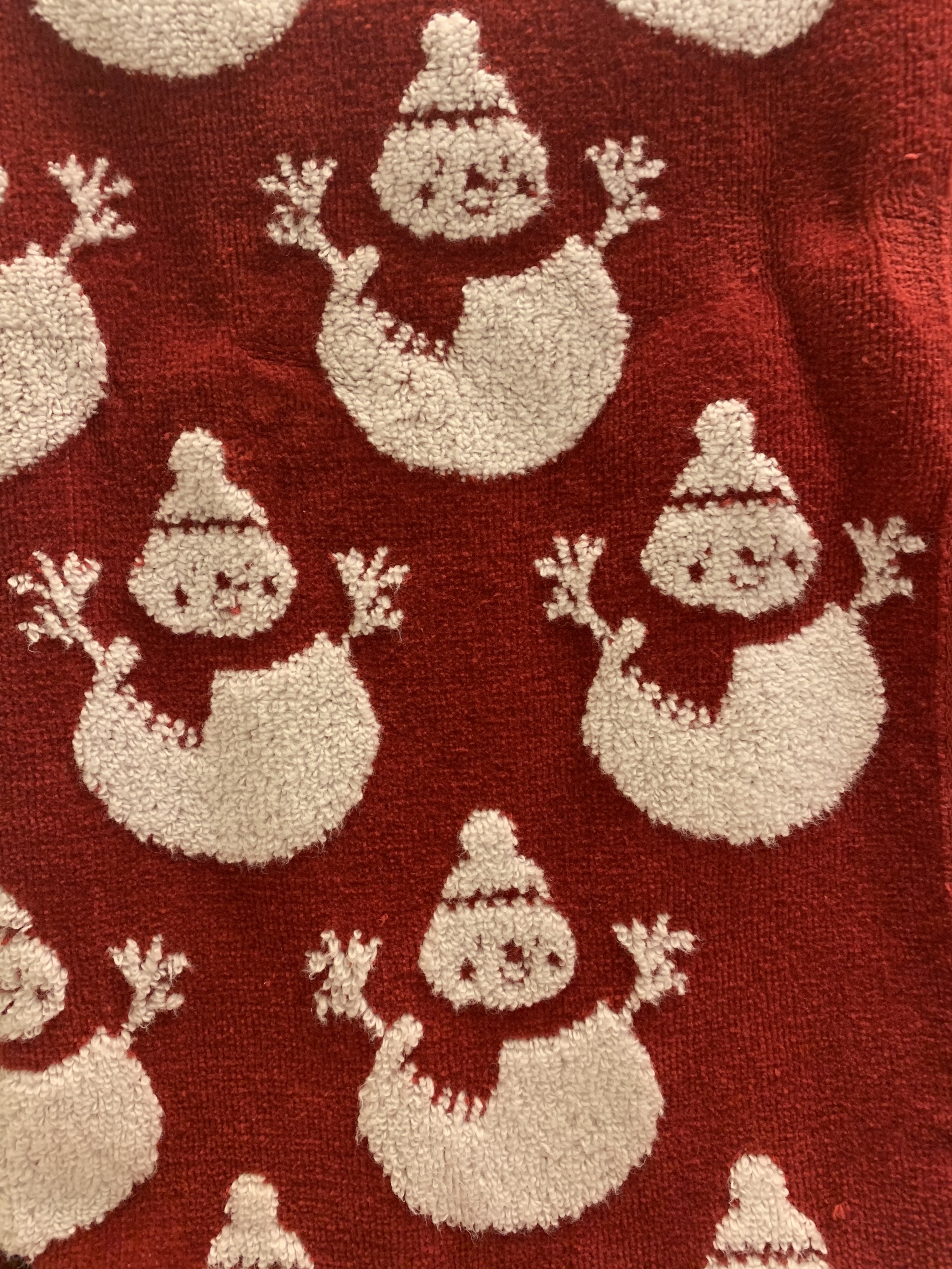 The Enchanted Christmas Towel: Flip It to Reveal Dia de los Muertos Santas!