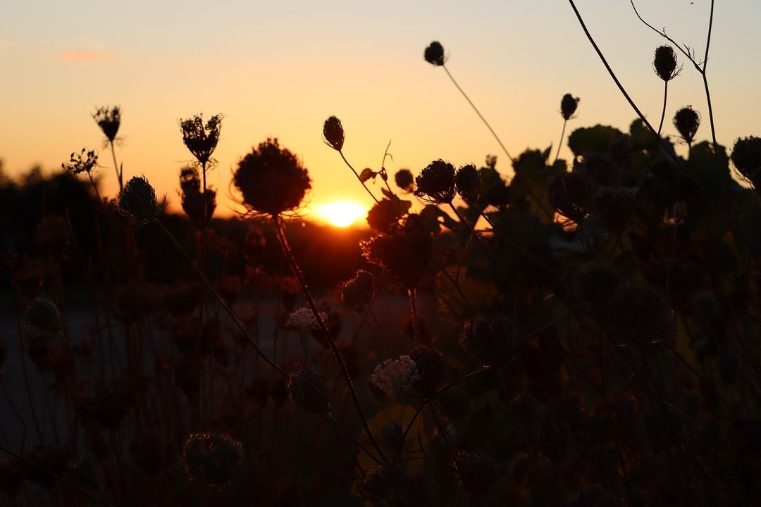 Sunset Magic: A Peek into Nature's Stunning Beauty