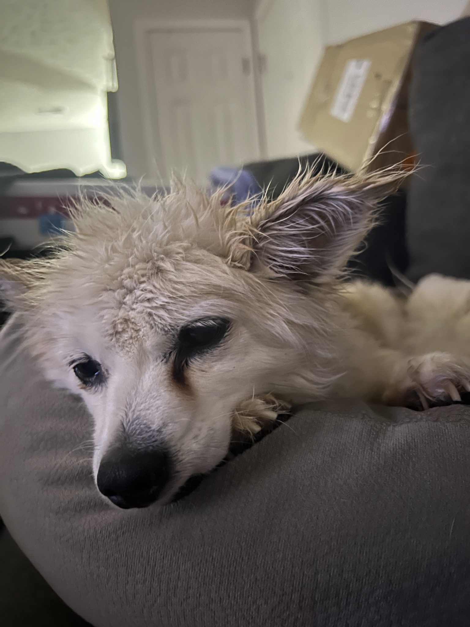 Feeling Down and Soaked