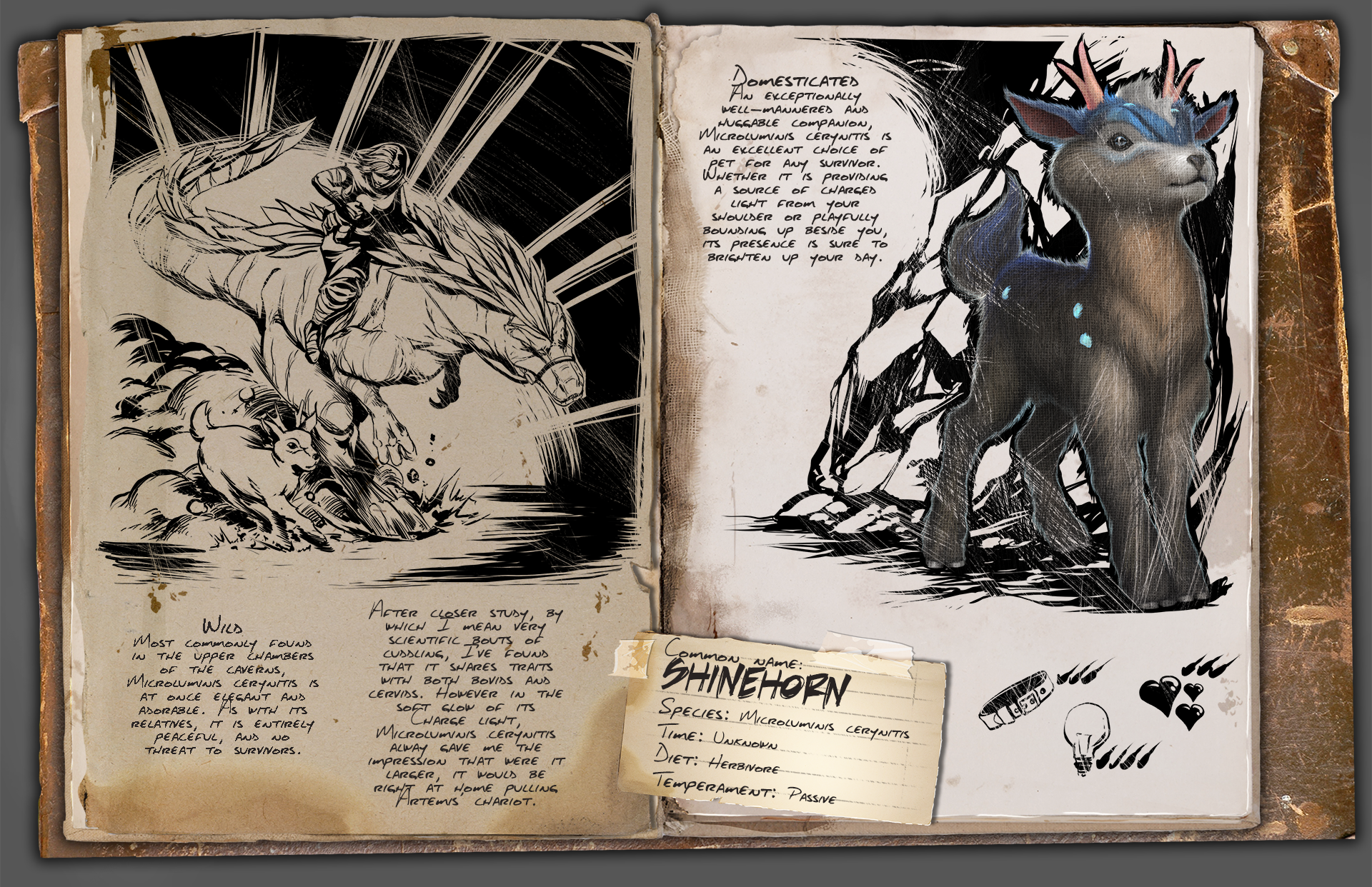 The Charming Shinehorn