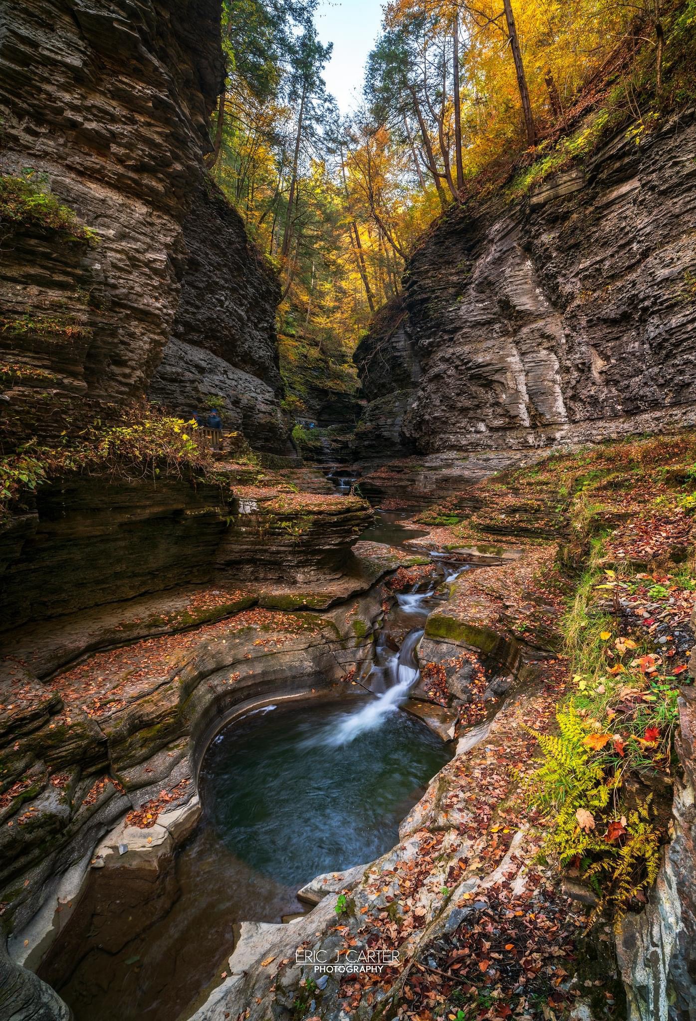 Discovering the charm of Watkins Glen, NY.