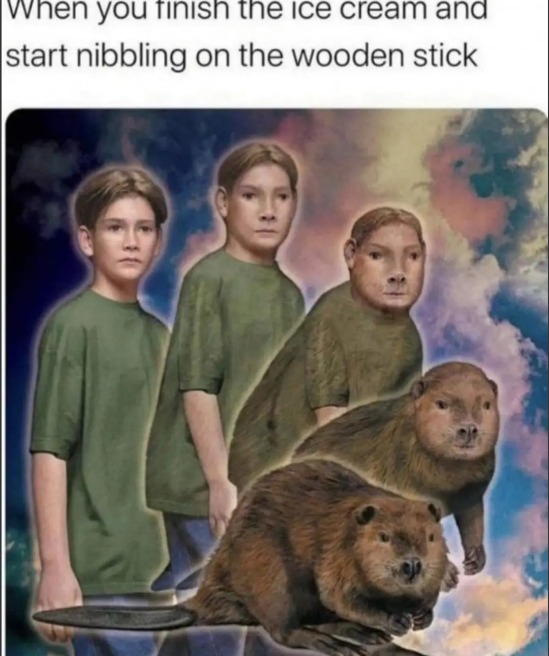 Memes on Sale: Volume 5278