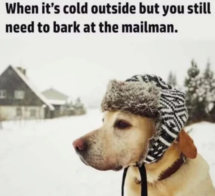 Someone has to take charge!