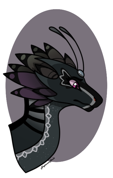 The Enchantment of Midnight