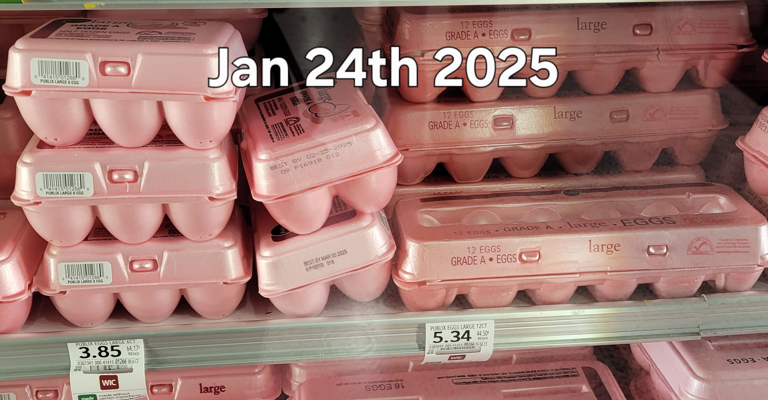 The Shocking Price of Eggs Today