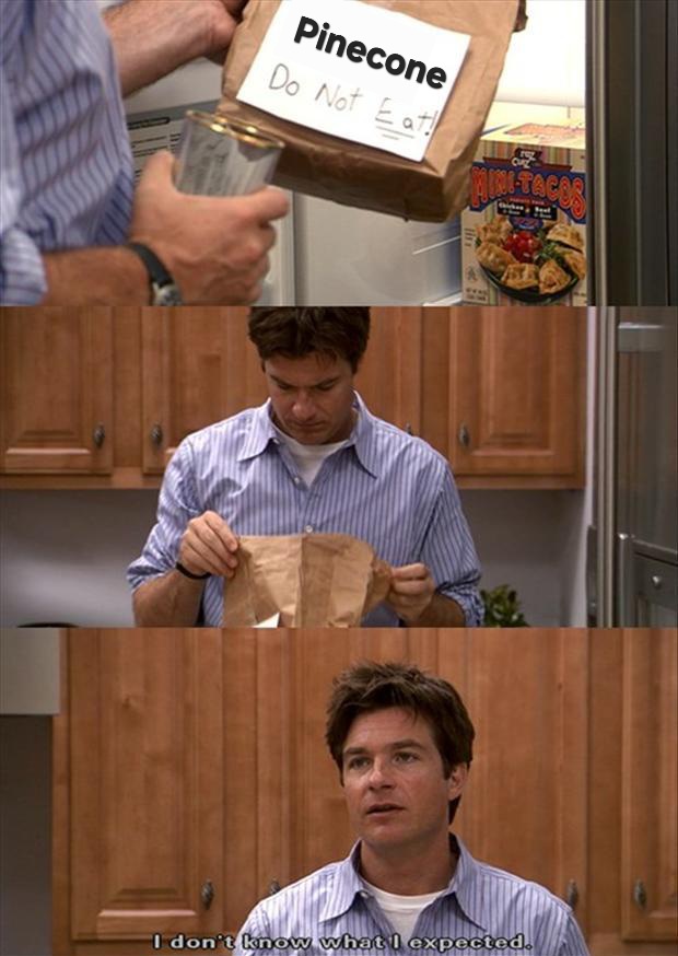 My Reaction When I Open Imgur This Week