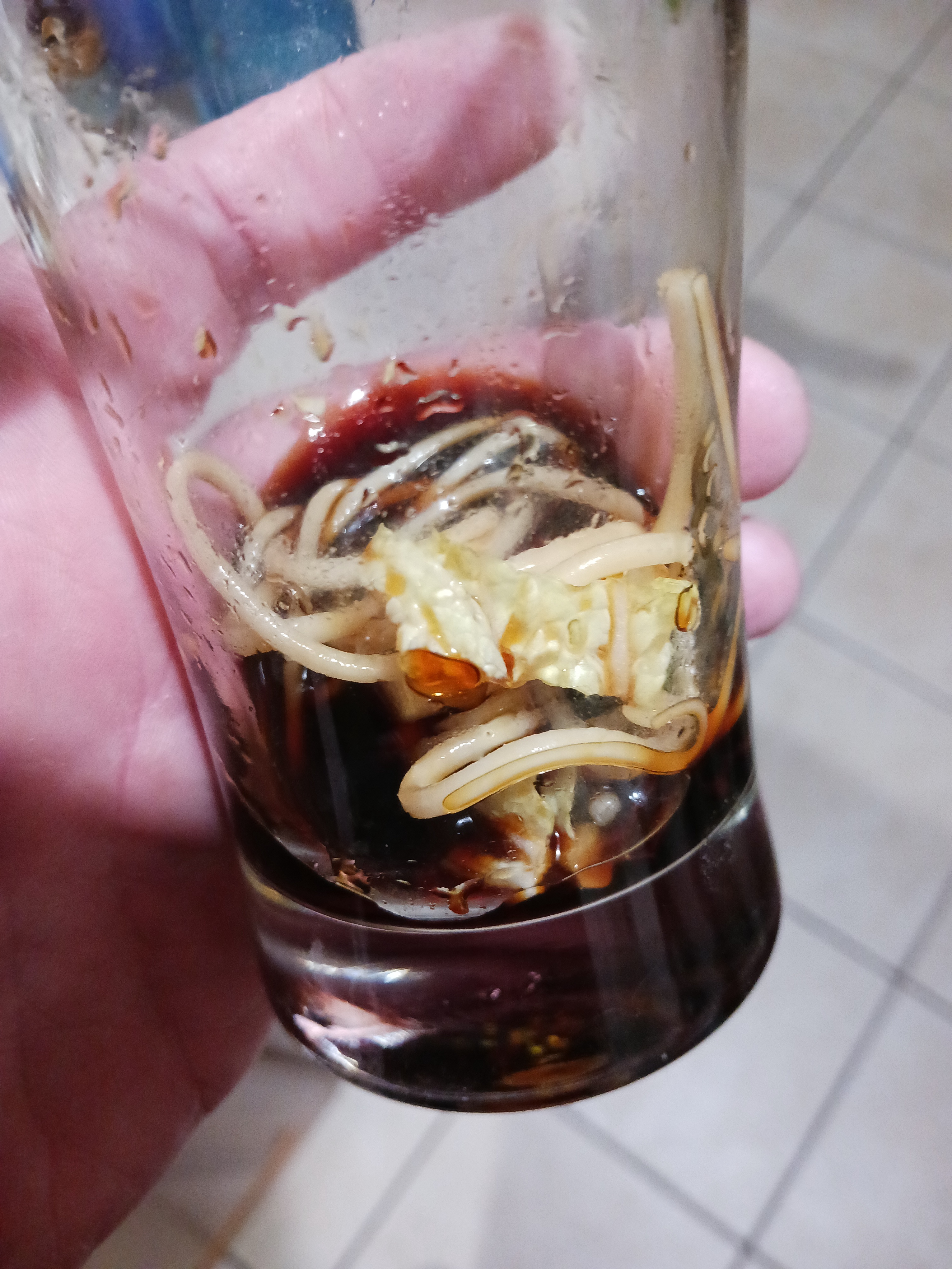 My little goblin is slurping udon noodles straight from a soy sauce glass... should I be worried?