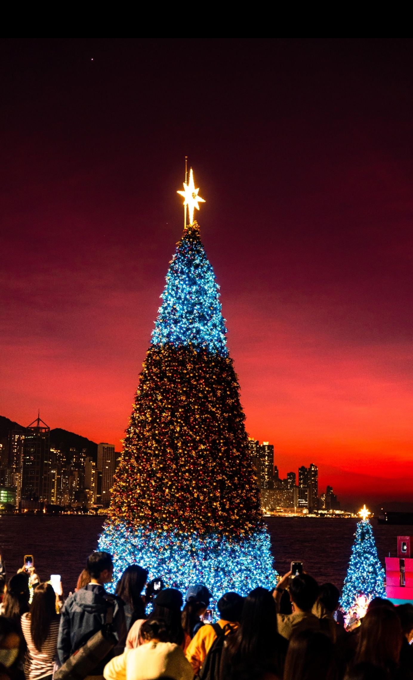 Festive Christmas Tree in the Heart of Hong Kong