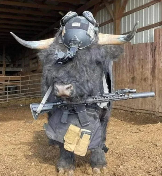Unleash the Tactical Yak!