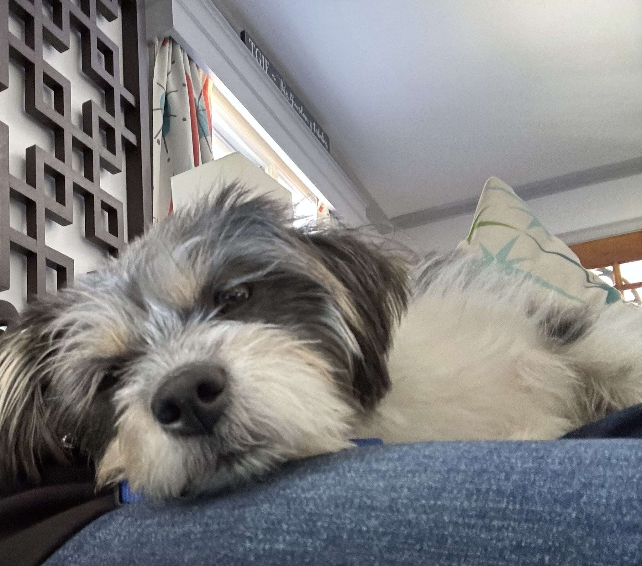 Rigby Ragazzo: Today's Adventures
