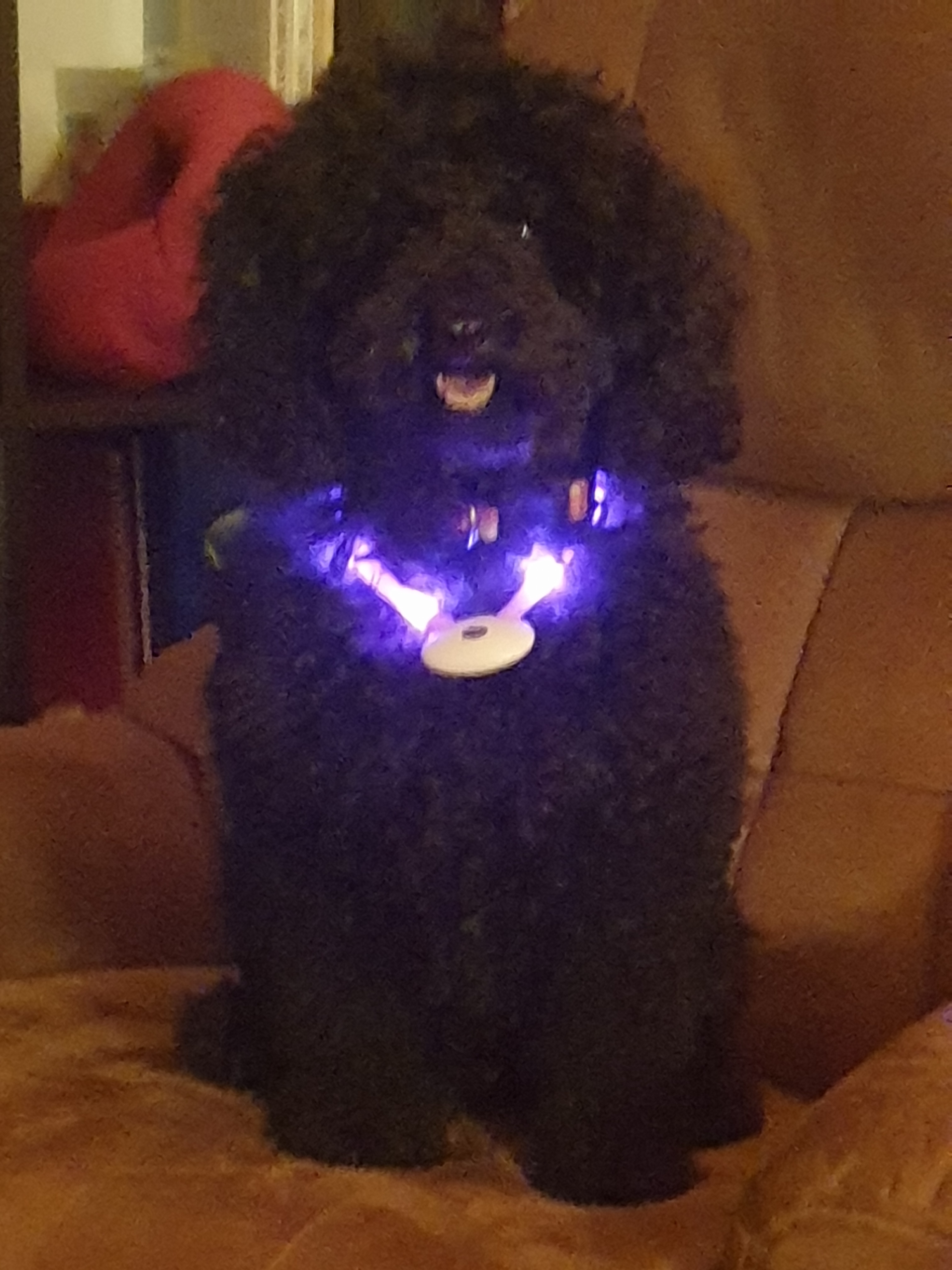 The lights are shining bright!