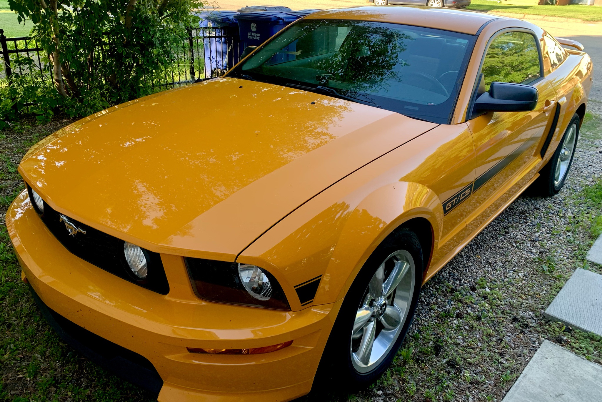Check Out My 2008 Mustang GT/CS in Stunning Grabber Orange: Yes, I Did a Cheesy Photo Shoot to Show Off!