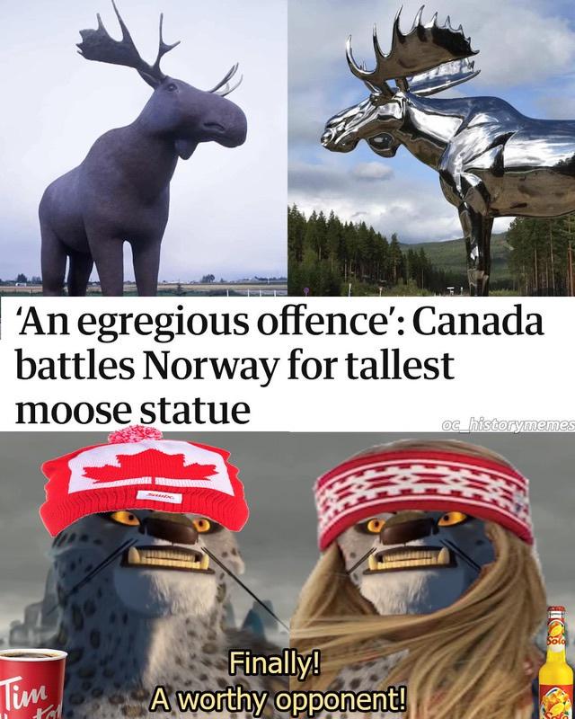 Your Viking Days Are Behind You Now