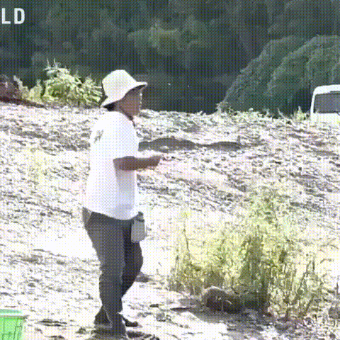 Skipping Like a Pro: Some Serious Moves