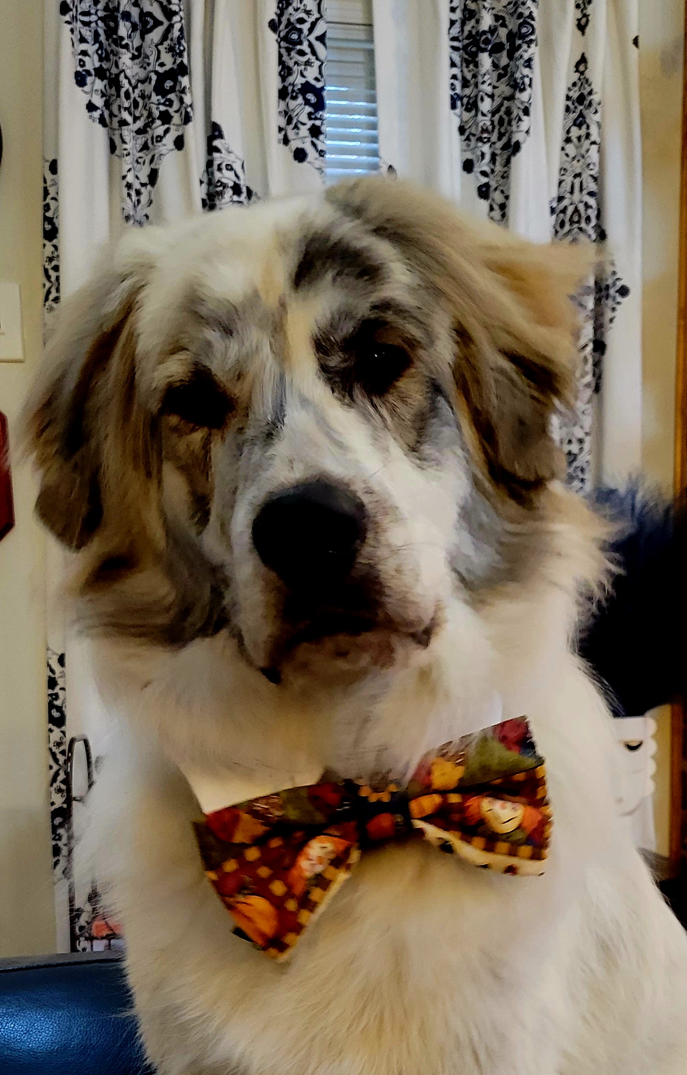 The charmingly handsome boy everyone loves
