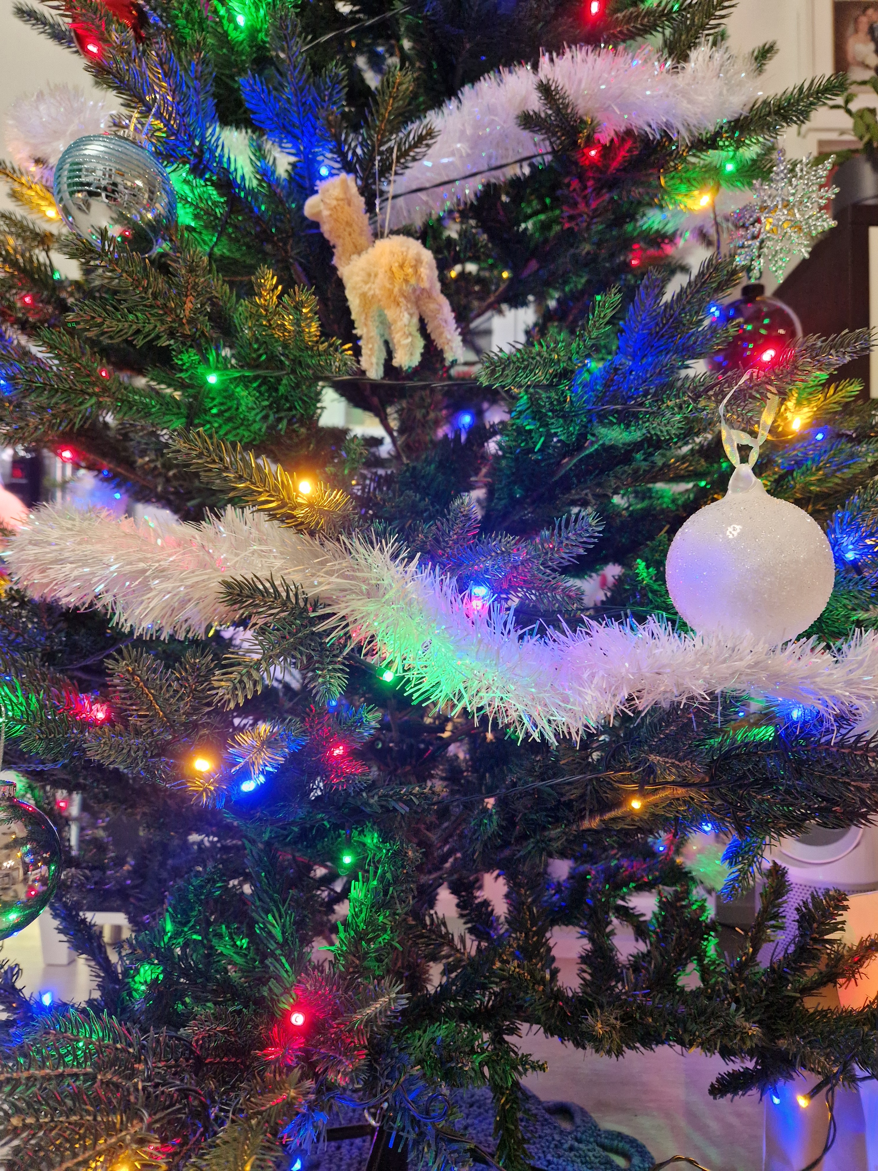 Guess What? There's a Llama in My Tree!