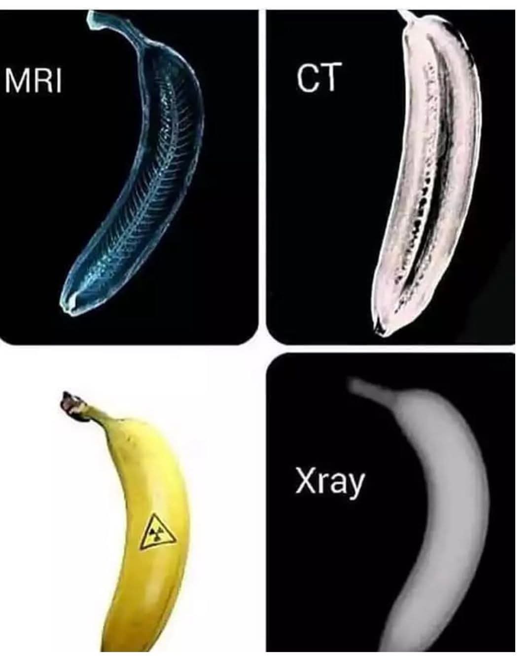 Banana: The Ultimate Measuring Tool