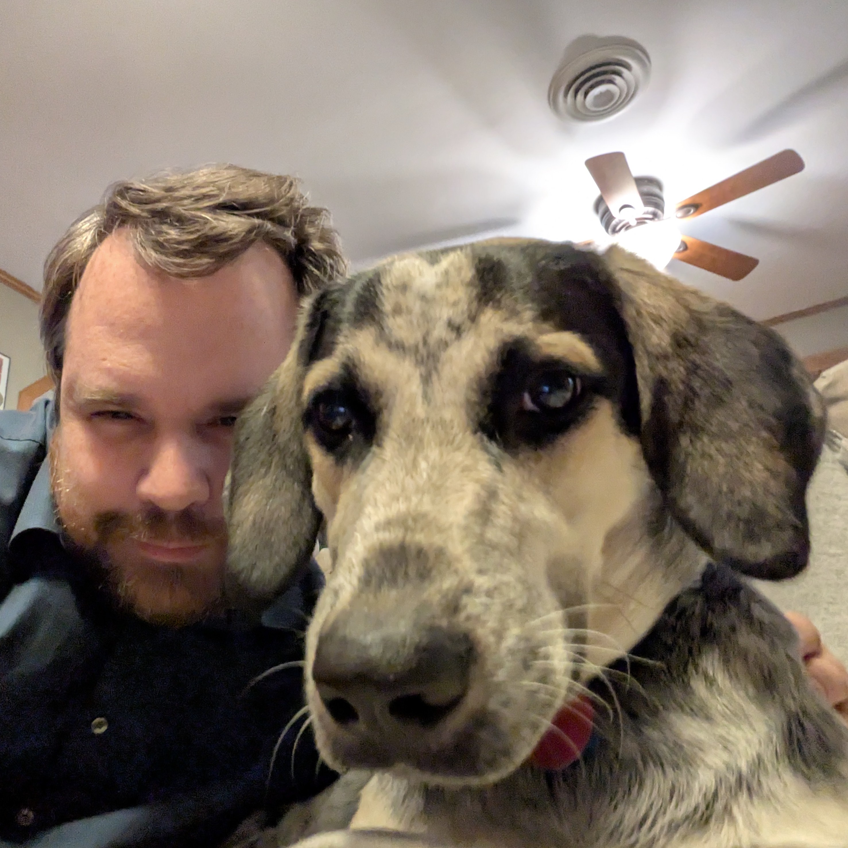 Festive Selfie with My Fuzzy Holiday Companion