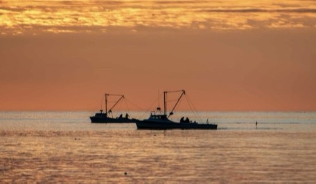 Exploring the World of Oyster Dredge Boats