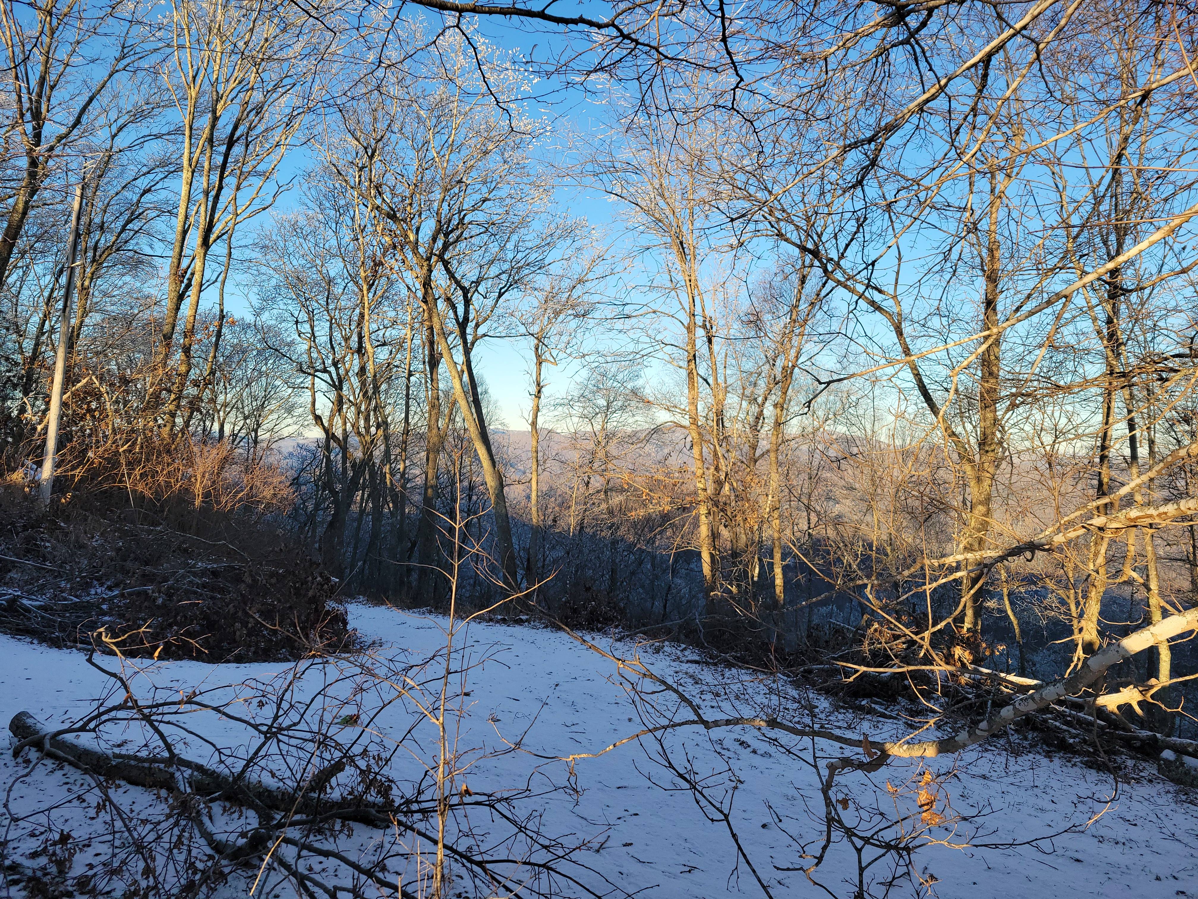 DecemBRRRRRR: a winter walk in the woods